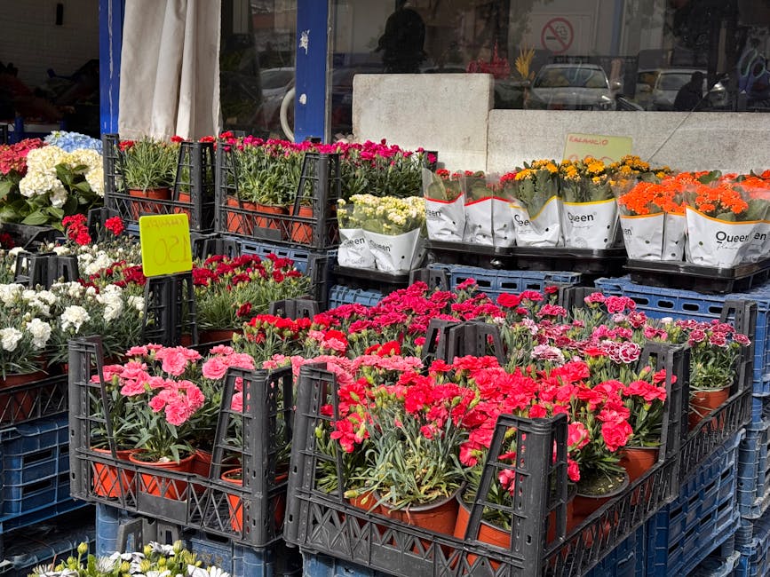 An outdoor display outside a flower shop shows multiple trays of potted flowers, predominantly pink, red, white, yellow, and orange blooms, arranged in black plastic crates. The flowers include carnat